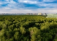 Сила леса, корп 1: ЖК Сила леса, корп 1