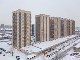 2-комн, Дудинская ул, д.2ж