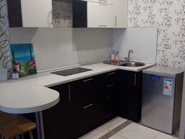 Продается Студия Светлогорский пер, 25.4  м&sup2;, 4250000 рублей