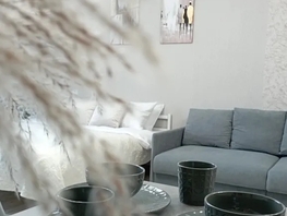 Снять однокомнатную квартиру Дубровинского ул, 39  м&sup2;, 3200 рублей