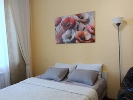 Снять однокомнатную квартиру Мичурина ул, 50  м&sup2;, 3000 рублей