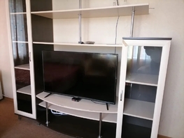 Снять двухкомнатную квартиру Свободный пр-кт, 55  м&sup2;, 3233 рублей