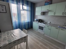 Снять однокомнатную квартиру 60 лет образования СССР пр-кт, 36  м&sup2;, 2500 рублей