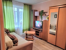 Снять однокомнатную квартиру Красноярский Рабочий пр-кт, 33  м&sup2;, 2750 рублей