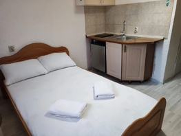 Снять однокомнатную квартиру Молокова ул, 16  м&sup2;, 2124 рублей