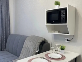 Снять однокомнатную квартиру Калинина ул, 23  м&sup2;, 2550 рублей