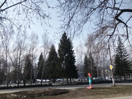 1-комнатная квартира, 31 м², 3/5 этаж