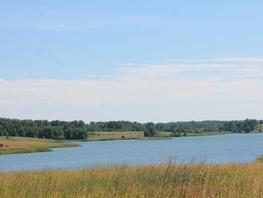 Продается Участок ИЖС Лесная ул, 970 сот., 12000000 рублей