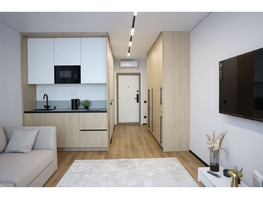 Продается Апартамент АО Карлуу, корпус 1, 24.6  м&sup2;, 12492360 рублей