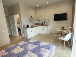 Снять однокомнатную квартиру Христенко ул, 26  м&sup2;, 2800 рублей