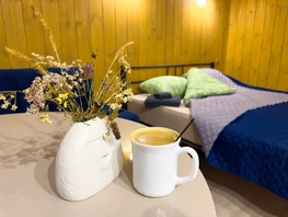 Снять  дом Дачный пер, 25  м&sup2;, 4840 рублей