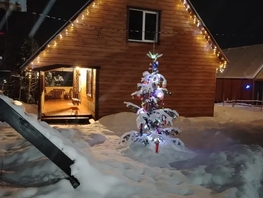 Снять  дом Родниковая ул, 60  м&sup2;, 13000 рублей
