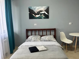 Снять однокомнатную квартиру Смолина ул, 30  м&sup2;, 3240 рублей