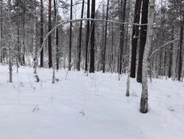 Участок, 7 сот., Земля сельхозназначения