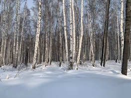 Участок, 12 сот., Земля сельхозназначения