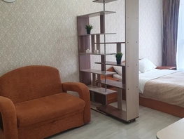 Снять однокомнатную квартиру Лызина ул, 25  м&sup2;, 2832 рублей