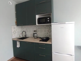 Снять однокомнатную квартиру Ивана Кочубея ул, 40  м&sup2;, 2290 рублей