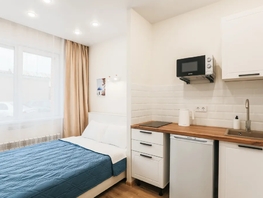 Снять однокомнатную квартиру Депутатская ул, 20  м&sup2;, 3375 рублей