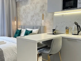 Снять однокомнатную квартиру Пискунова ул, 19  м&sup2;, 2699 рублей