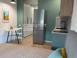 Продается 1-комнатная квартира ЖК Парковый, дом 2, 26.8  м&sup2;, 5430000 рублей