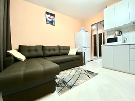 Снять однокомнатную квартиру Молодежный пр-кт, 30  м&sup2;, 2200 рублей