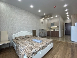 Снять однокомнатную квартиру Мичурина ул, 25  м&sup2;, 2700 рублей