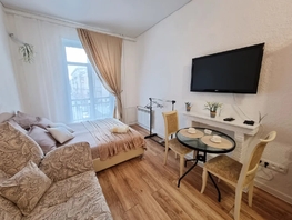Снять однокомнатную квартиру Советский пр-кт, 28  м&sup2;, 2700 рублей
