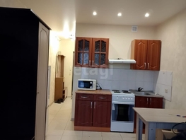 Снять однокомнатную квартиру Виктора Уса ул, 24 м², 16000 рублей