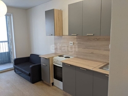 Снять однокомнатную квартиру Ясный Берег ул, 22 м², 25000 рублей