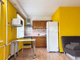 Продается Студия Оловозаводская ул, 31.2 м², 3300000 рублей