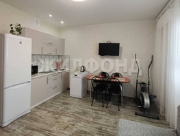 Продается Студия Виктора Уса ул, 23.8  м², 3700000 рублей