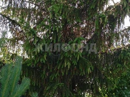 Продается дача Опаловая ул, 20 м², участок 9 сот., 790000 рублей