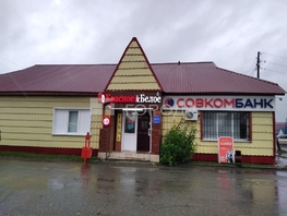 Продается Готовый бизнес Дзержинского ул, 207.2  м&sup2;, 13400000 рублей