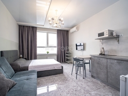 Продается Апартамент Железнодорожная ул, 24.8  м&sup2;, 5096000 рублей