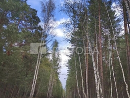 Продается Дачный участок Центральная ул, 10.67  сот., 350000 рублей