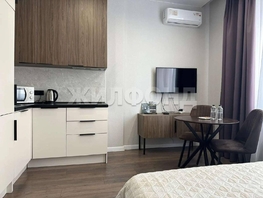 Продается Студия Ядринцевская ул, 25.2  м&sup2;, 5480000 рублей