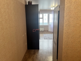 Снять однокомнатную квартиру Виктора Уса ул, 27  м&sup2;, 20000 рублей