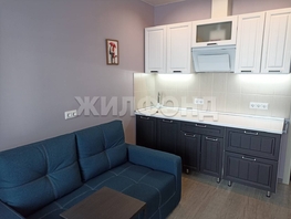 Продается Студия Железнодорожная ул, 20.8  м&sup2;, 4800000 рублей