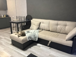 Снять двухкомнатную квартиру Плахотного ул, 50  м&sup2;, 33000 рублей