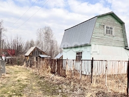 Дача, Пригород