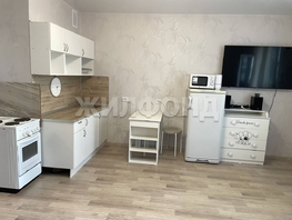 Продается Студия ЖК Новые Матрешки, дом 1 б/с 4, 29.4  м&sup2;, 3850000 рублей