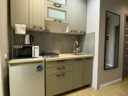 Снять однокомнатную квартиру Прибрежная  ул, 27  м&sup2;, 3100 рублей