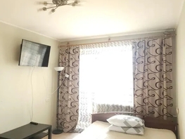 Снять однокомнатную квартиру Петухова ул, 34  м&sup2;, 2449 рублей