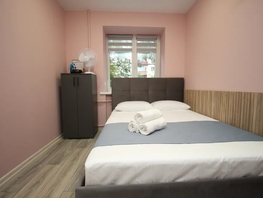 Снять однокомнатную квартиру Карла Маркса пр-кт, 17  м&sup2;, 2762 рублей