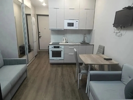 Снять однокомнатную квартиру Плановая ул, 20  м&sup2;, 2500 рублей
