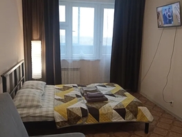 Снять однокомнатную квартиру Рябиновая ул, 24  м&sup2;, 2500 рублей
