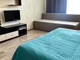 Снять однокомнатную квартиру Плахотного ул, 28  м&sup2;, 2900 рублей