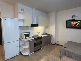 Снять однокомнатную квартиру Ипподромская ул, 30  м&sup2;, 2000 рублей