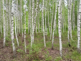 Продается Участок ИЖС Весенняя ул, 12  сот., 2000000 рублей
