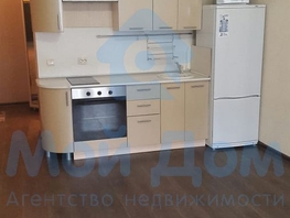1-комнатная квартира, 27 м², 7/17 этаж